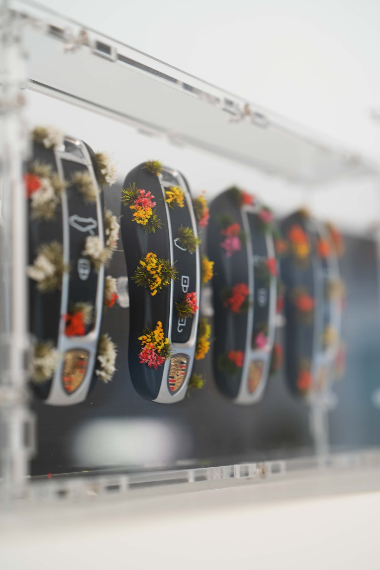 4 Season Car Key Collection